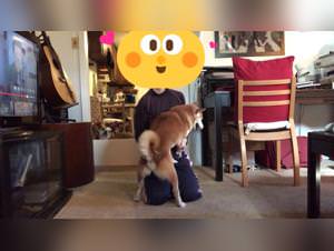 Chinese dog sex: hardcore bestiality