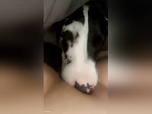 Licking dog while watching xxxxx, intense