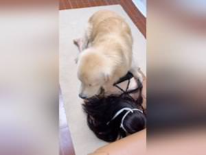 Chinese beauty, dog sex fantasy fulfilled