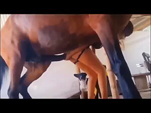 Extreme bestiality - unleashed passion