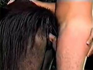 Cow Deep Fucks, Extreme Animal Sex