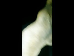 Dogxxx: Fucking a slutty dog   at home