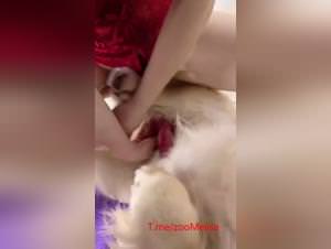 Asian Girl Intense Dog Sex