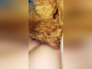 She fucks her dog : extreme bestiality clips