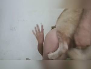 Dog Sex Slave Footage