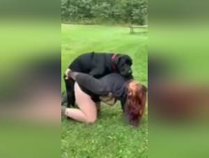 Wild Dog Sex: Woman Dominated, Explicit Footage