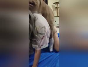 Slut Dog Fuck Part 1