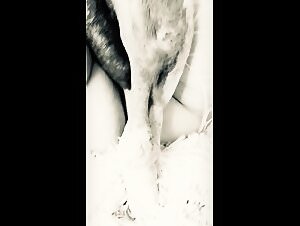 Extreme zoophilia animal porn