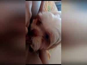 Brazilian friend dog fuck extreme