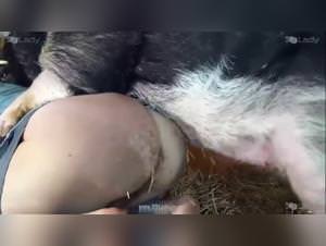 Ariel - Anal Revision - Dog Fuck