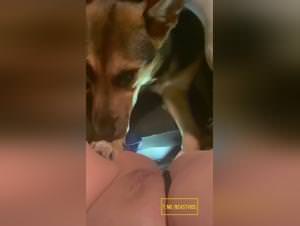 Dog Licking Hardcore Slave - Extreme XXX