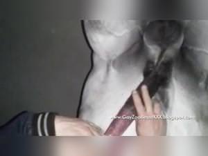 Milly Horse Anal 01 - Wild Stallion Sex