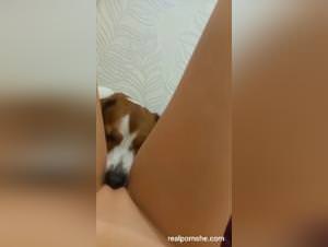Wild delights: bitch licked by dog