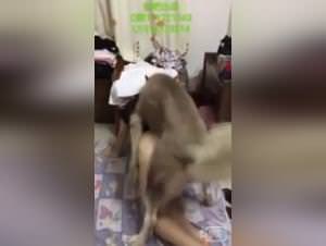 Asian Bitch Doggystyle Extreme