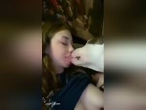 Wild dog sex: animalistic lust