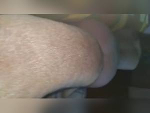 Dog sex frenzy, primal lust unleashed