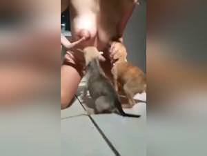 Wild breastfeeding and doggy sex