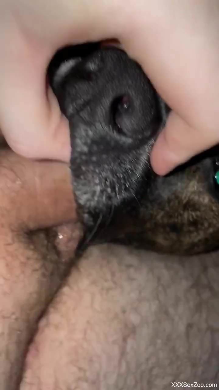 POV porno movie featuring a sexy animal that chokes on cock