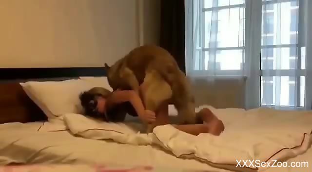 Doggy style intercourse with a genuinely hot babe