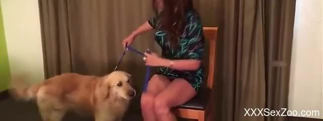 Long-legged babe gets licked and fucked savagely