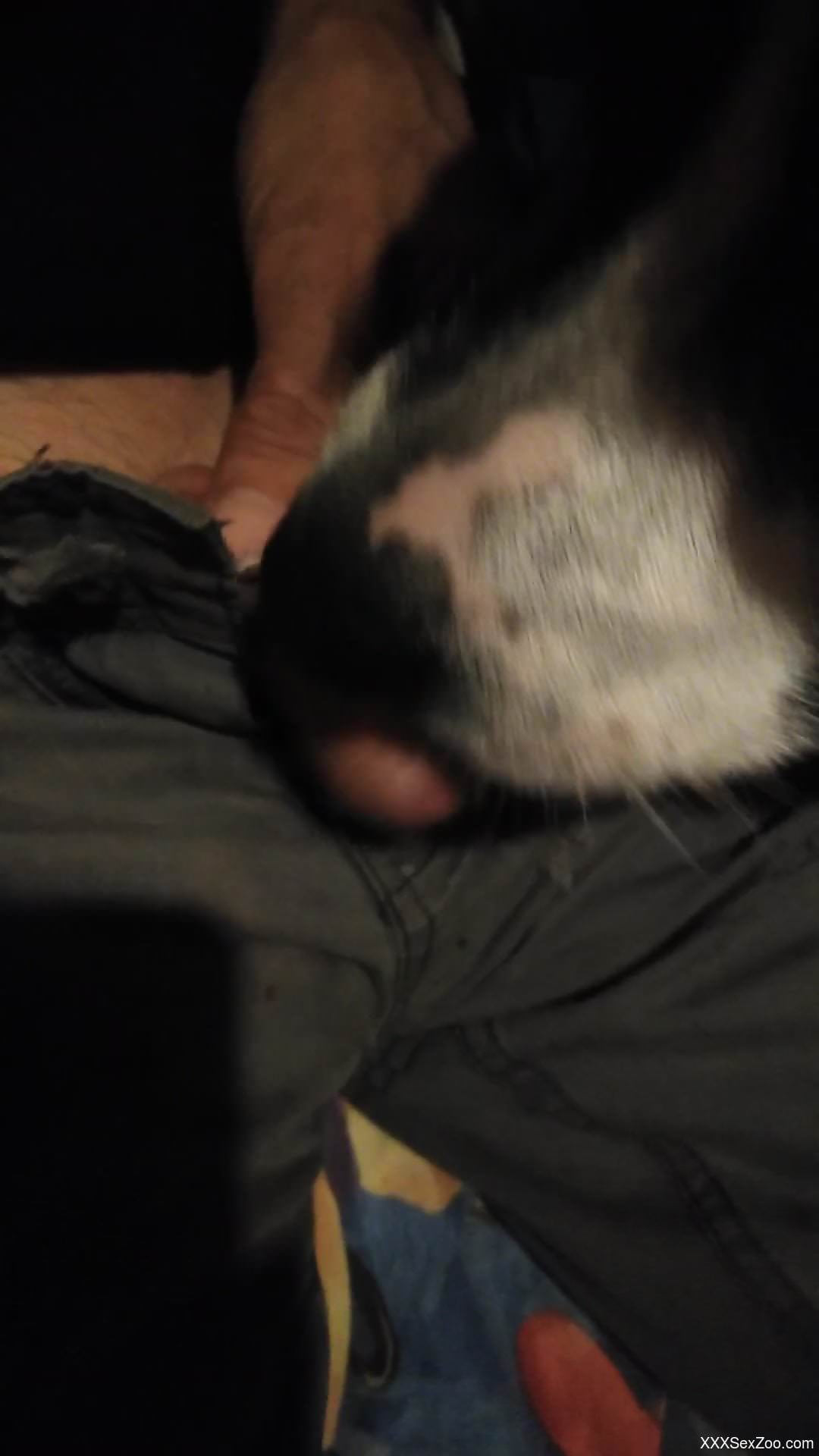 Horny dude gets to stuff his cock in a dog's face