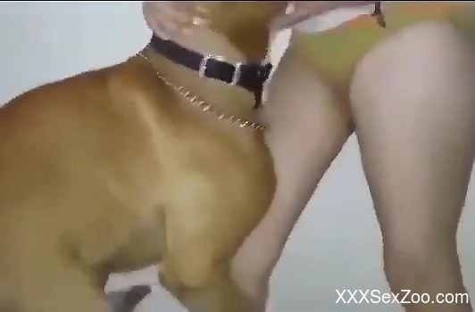 Brown animal is going to lick her pussy and fuck her up