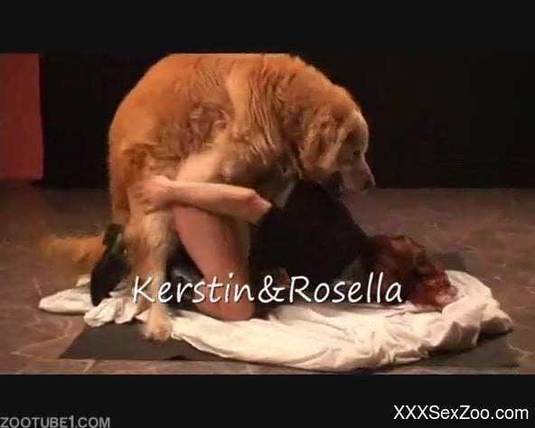 Golde retriever makes sure to fuck woman in the pussy big time