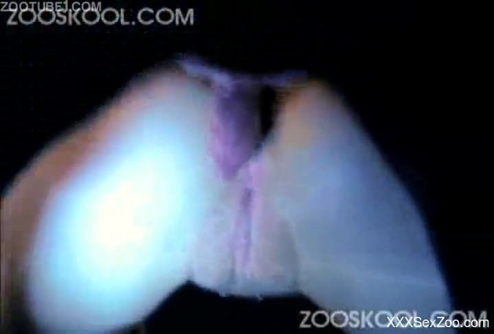 Grey get-up blonde gets fucked by a sexy-ass dog