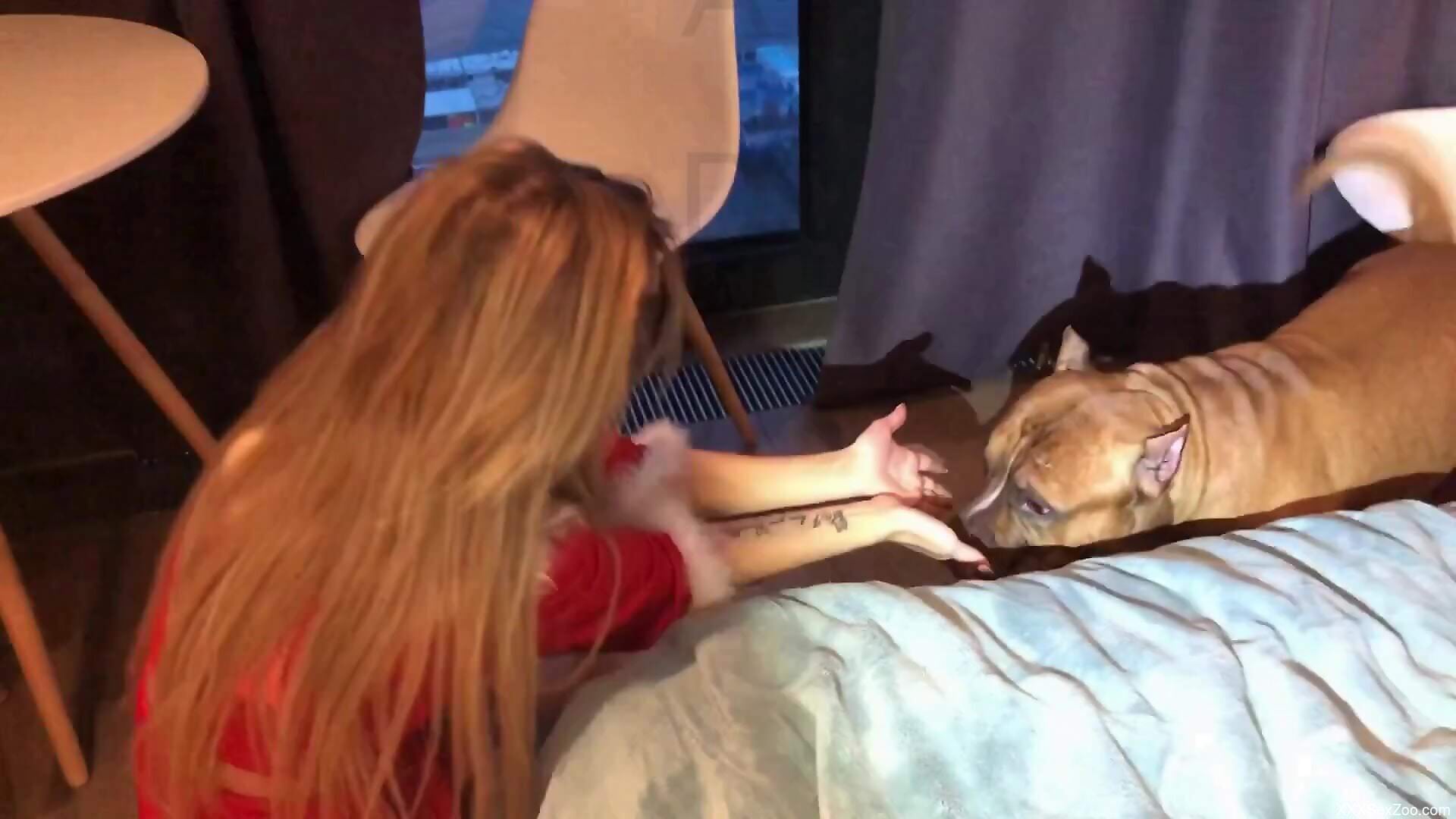 Aroused blonde lets her muscular dog fuck her pussy on cam