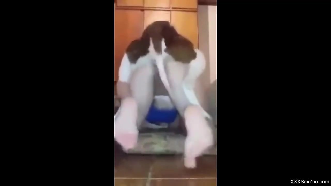 Passionate bestiality loving with doggystyle addicts