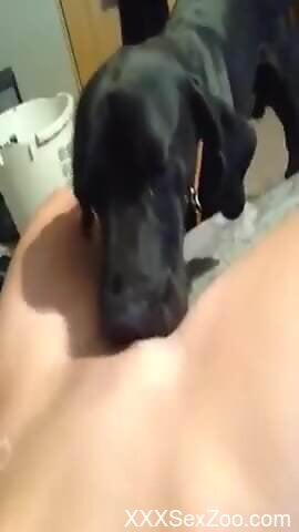 Dog licks woman's wet pussy so good that she comes