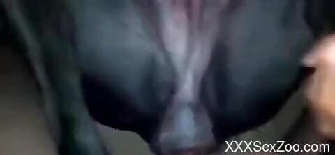 Guy's hard cock is going to widen that opening