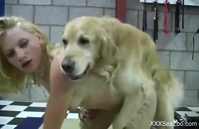 Furry mutt roughly fucks naked babe and comes on her fine ass