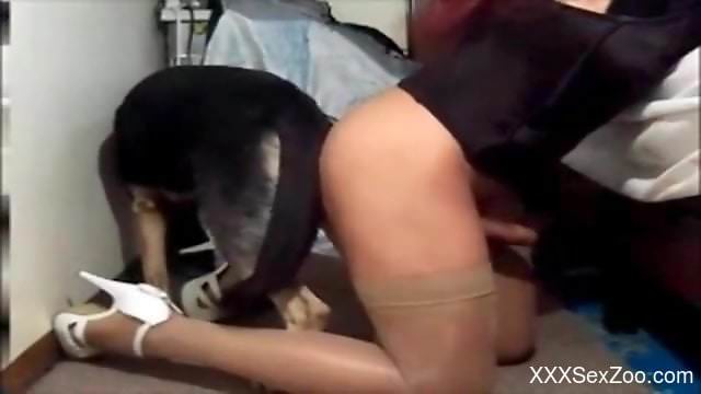 Tanned lady plowed on all fours by a super-kinky beast