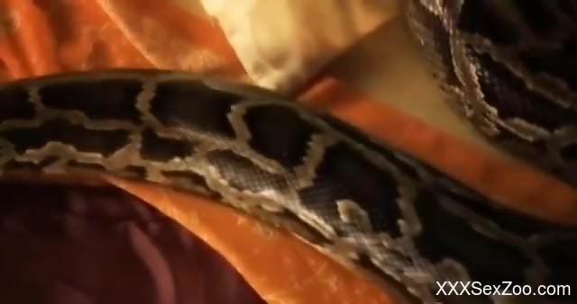 Slithering snake wants to fuck a sexy Indian babe