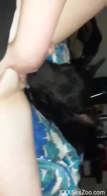 Dog licks woman's shaved pussy and makes her come like never before
