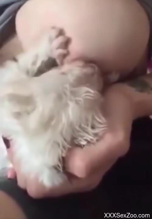 Furry dog makes the woman moan by licking her pussy and ass