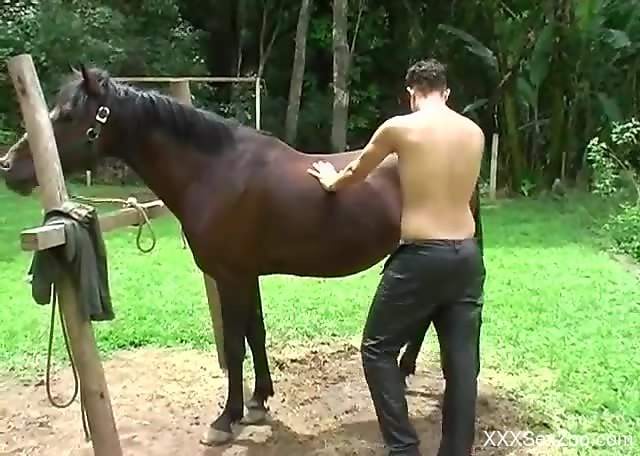 Gay male throats giant horse dick and tries anal on cam