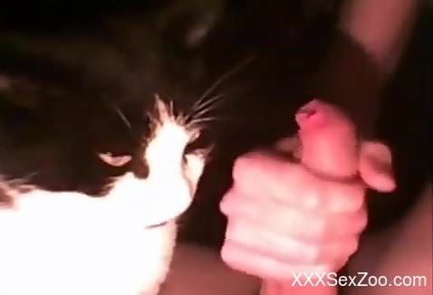 Kitty licking a dude's cute cock in a zoo oral video