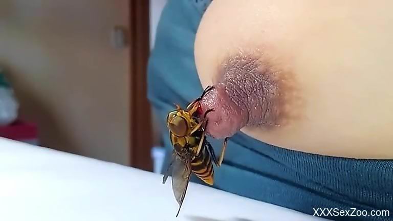 Busty woman loves the stimulation this bee provides