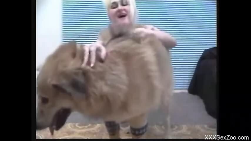 Steamy blonde plays with the dog's cock in excellent manners