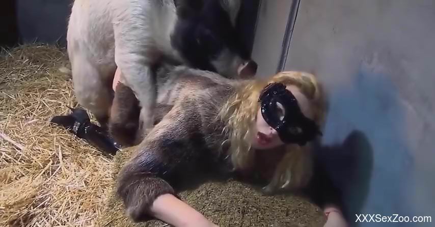 Great compilation of the hottest bestiality oral