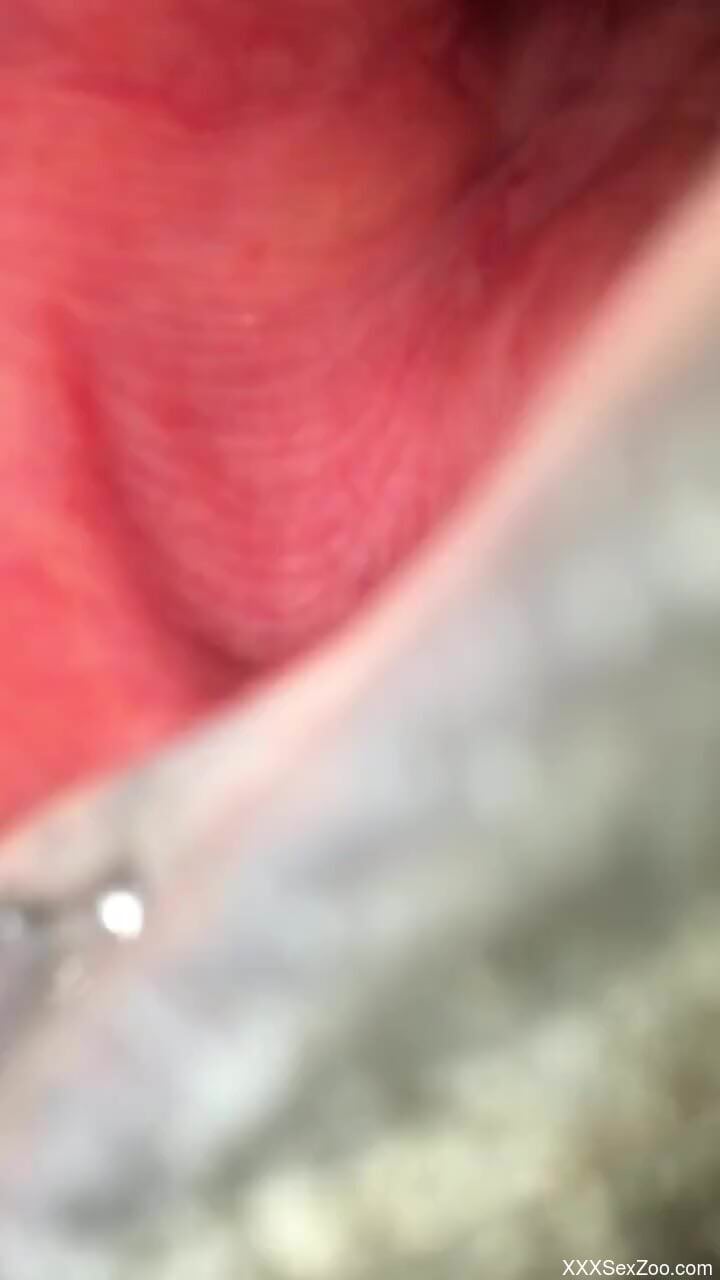 Mare pussy is going to get fucked brutally too