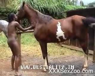 Naked ebony filmed when trying horse cock in her