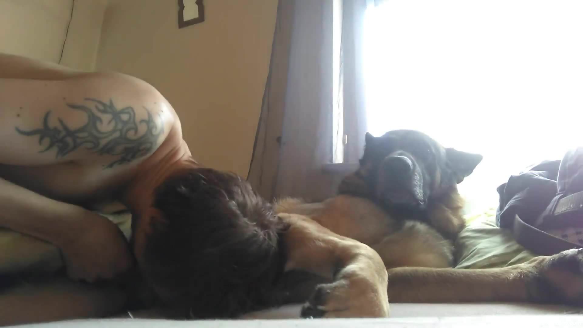 Hot guy with a sexy gaze sucking a dog's boner