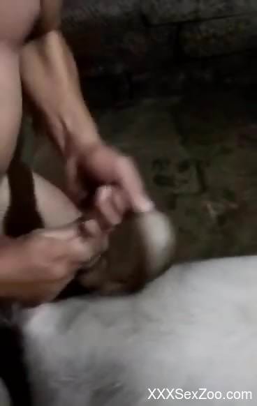 Horny man aims to deep fuck the horse and cum in it