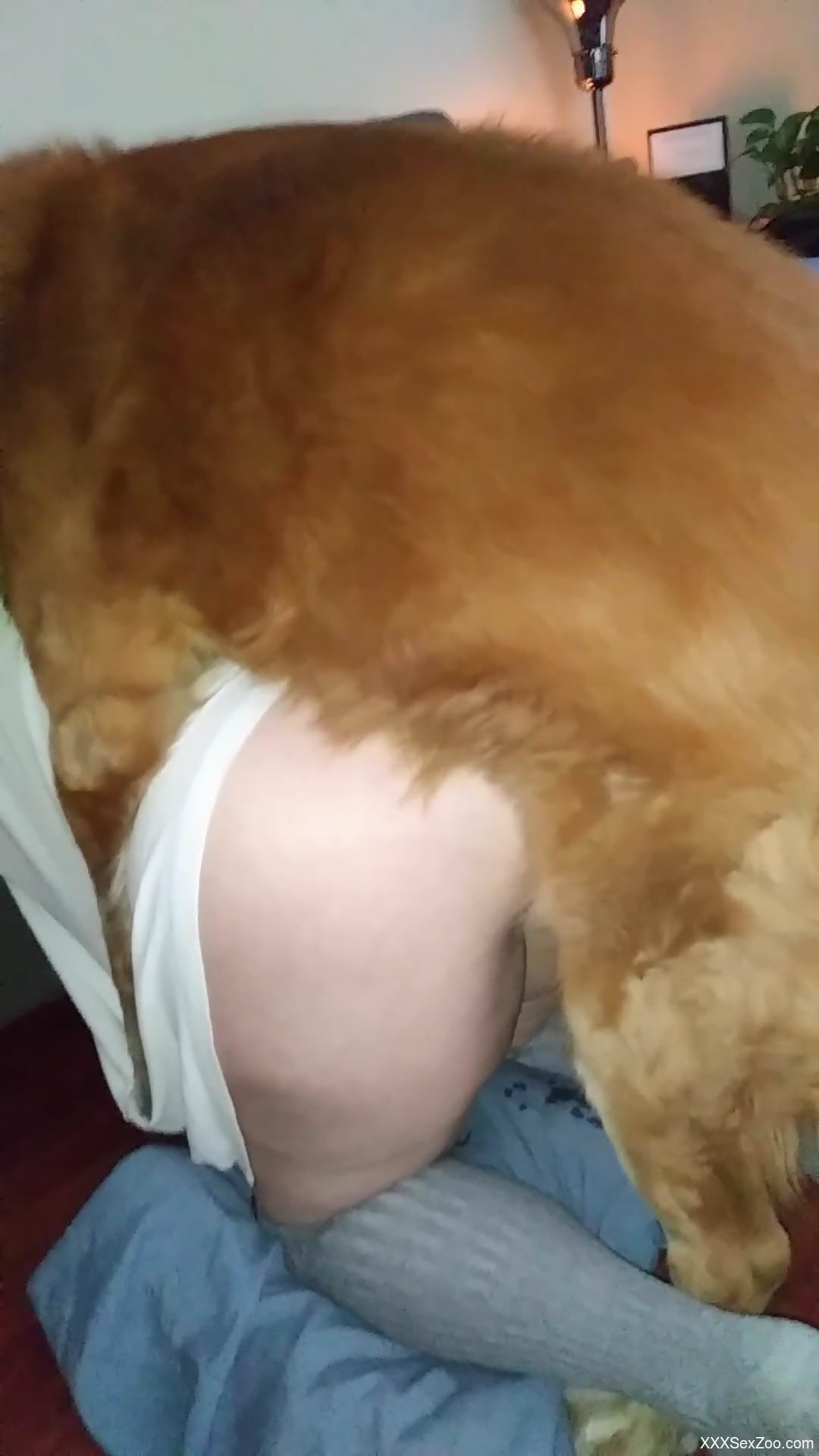 Big booty babe getting licked and fucked by a dog