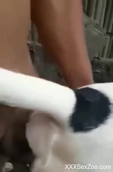 Dude banging the living crap outta that pussy hole