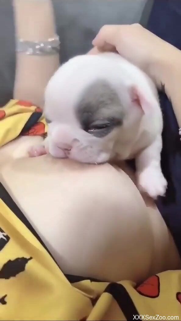 Small puppy makes woman moan when it licks her hard nipples