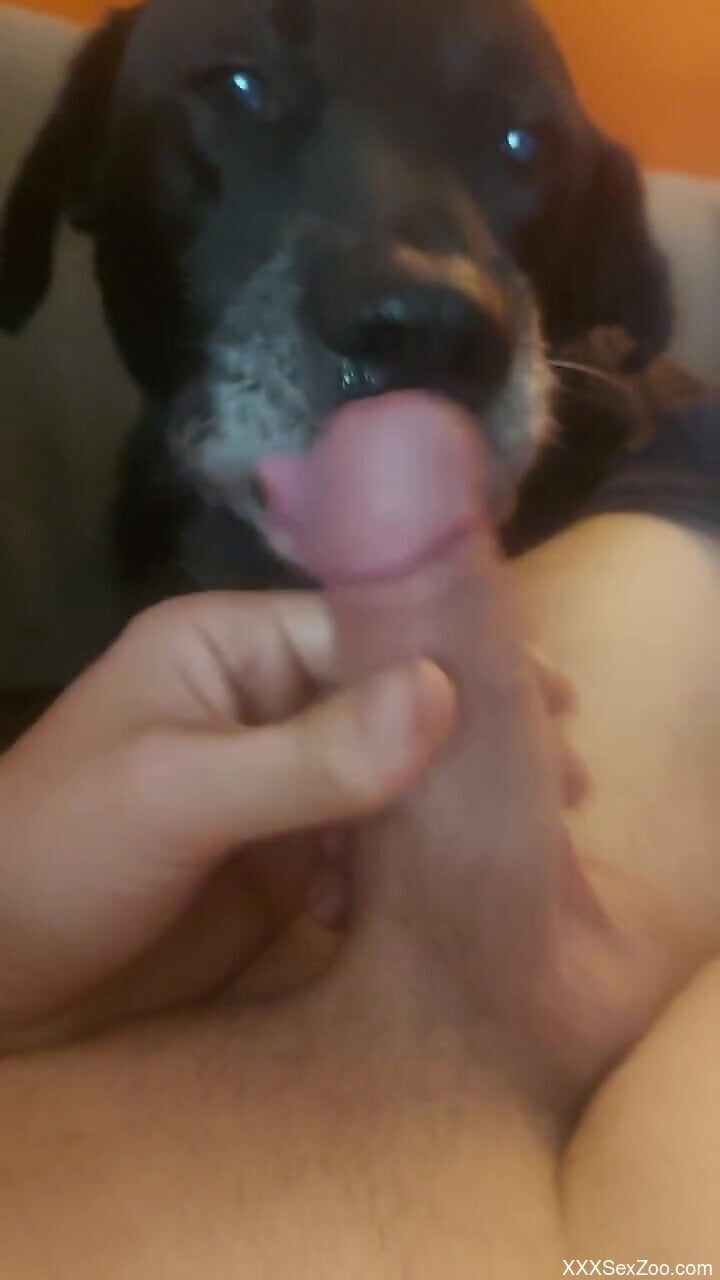 Guy wants to casually fuck his dog's horny mouth